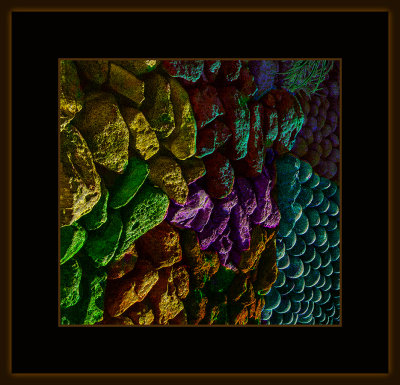Abstrakt_1011_=_529A7243_V2.jpg