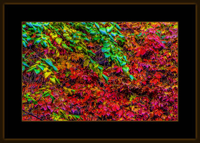 18_=_Hst_i_bakgrn_2019_=_29A9703.jpg