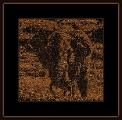 47_=_ELEFANT_101_V3.jpg