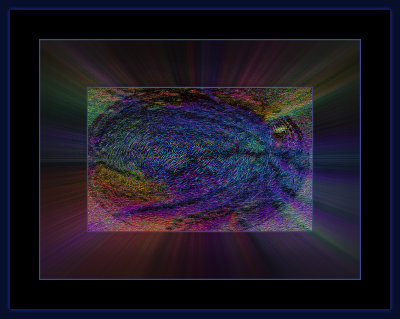 Abstrakt_1215_=__29A1976.jpg