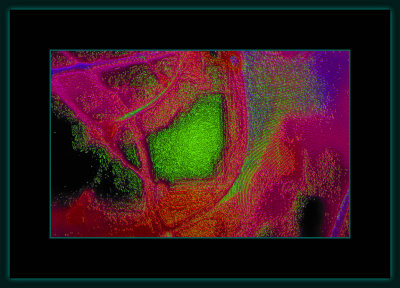 Abstrakt 1338 = _29A2088.jpg