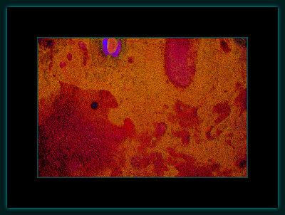 Abstrakt 1345 = _29A2113.jpg