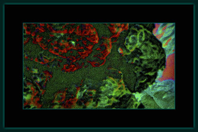 Abstrakt 1349 = _29A0124.jpg