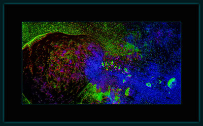Abstrakt 1391 = _29A9972.jpg