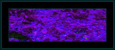 Abstrakt 1421 = DSCN4298.jpg