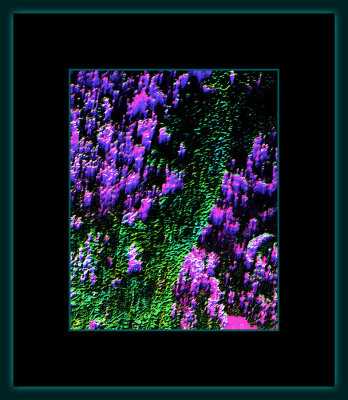 Abstrakt 1424 = DSCN4306.jpg