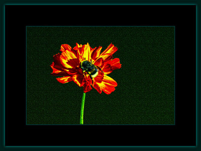1237 = _29A2512.jpg