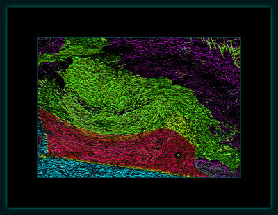 Abstrakt 1487 = DSCN4290.jpg