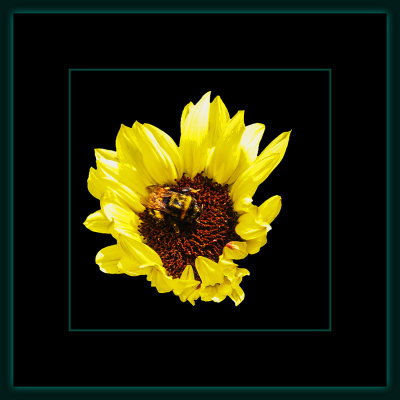 1258 = _29A8946.jpg
