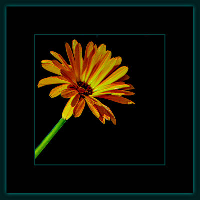 1283 = _29A9193.jpg