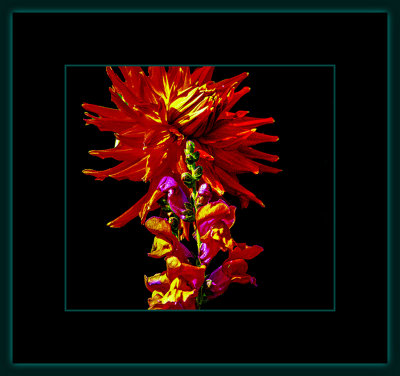 1299 = _29A8895.jpg