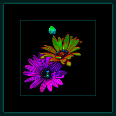 1304 = _29A8909.jpg