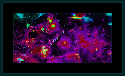 Abstrakt 1541 = _29A1198.jpg