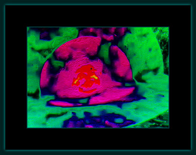 Abstrakt 1552 = _29A1250.jpg