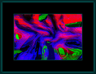 Abstrakt 1577 = _29A2706.jpg