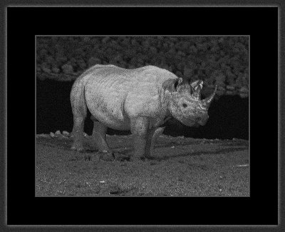 112 = Rhino 103 E x.jpg