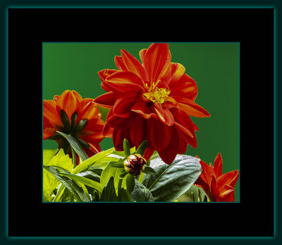 1331 = DSCN5792.jpg
