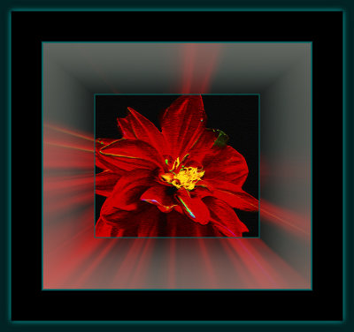 1335 = DSCN5797.jpg