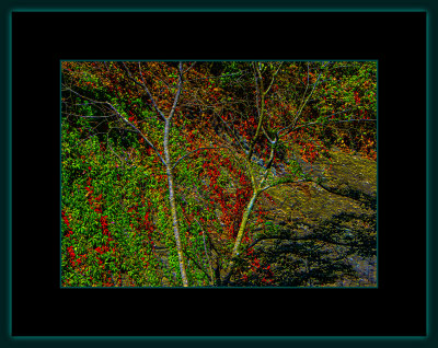 1 = DSCN7586.jpg