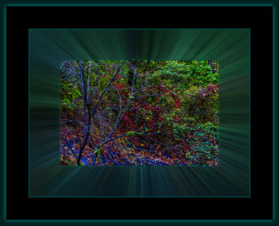12 = DSCN7906.jpg