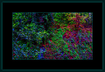 13 = DSCN7908.jpg