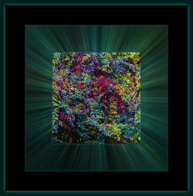 14 = DSCN7914.jpg