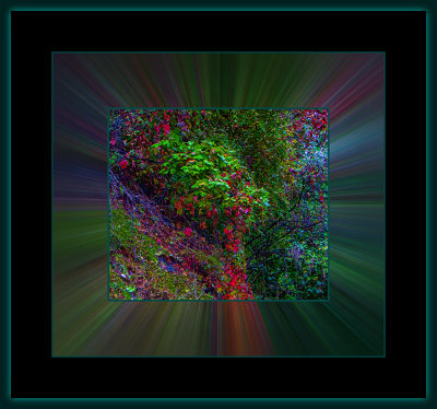 18 = DSCN7937.jpg