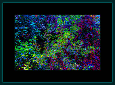 25 = DSCN8011.jpg