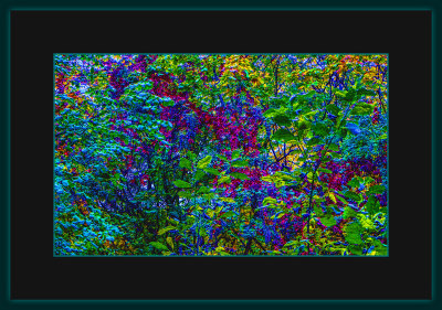 35 = DSCN8108.jpg