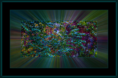 36 = DSCN8114.jpg