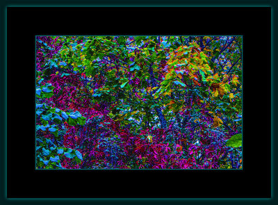 37 = DSCN8120.jpg