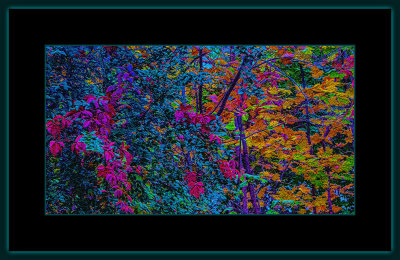 39 = DSCN8138.jpg