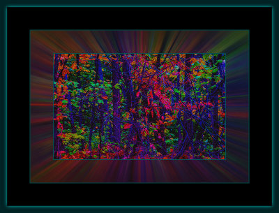 40 = DSCN8145.jpg