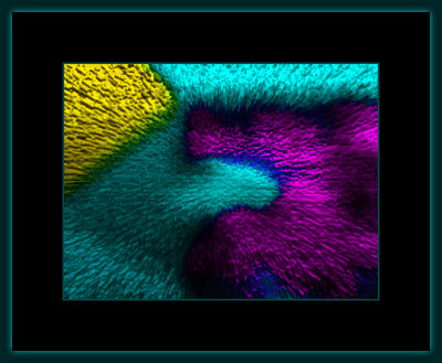 Abstrakt 1823 = DSCN6099.jpg