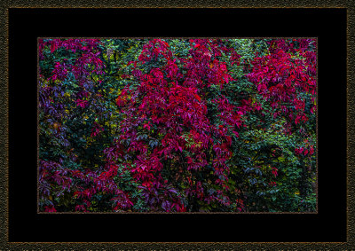 2 = DSCN0640.jpg