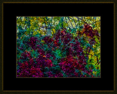 6 = DSCN0675.jpg