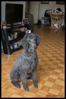 g12/16/795916/3/169944090.Looa83J1.jpg