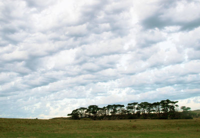 Late afternoon skyscape