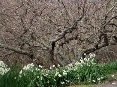 Signs of spring – 2