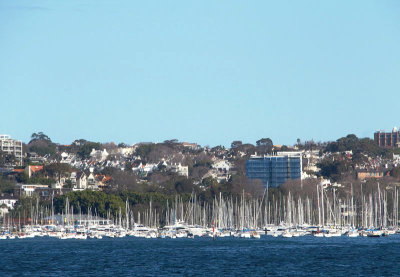 Moored yachts in Rose Bay