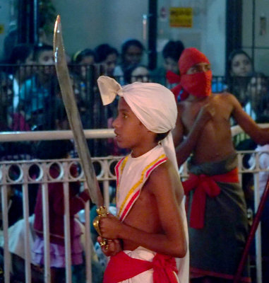 Perehera Festival 593