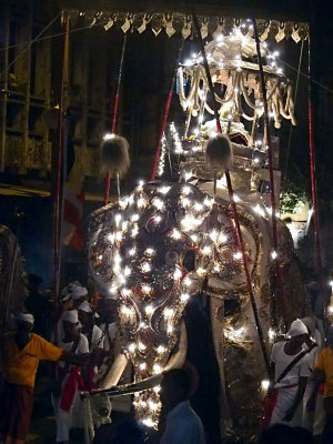 Perehera Festival 2154