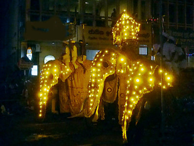 Perehera Festival 2383