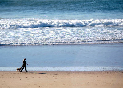 Solitary Dog-walker