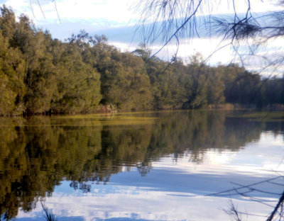 Longneck Lagoon