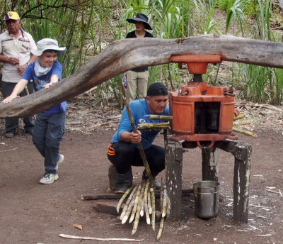 0644: Extracting sugar cane juice