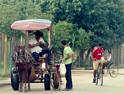 Horse-drawn taxi