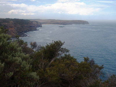 Looking east from Cape Schanck