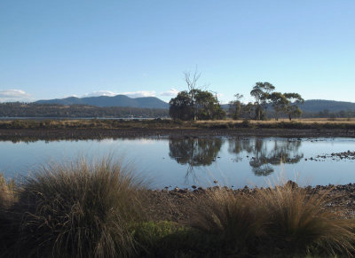 Maclaines Creek, Triabunna