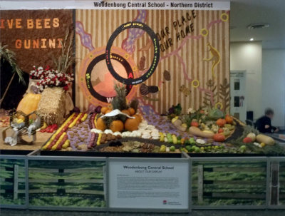 Exhibit by Woodenbong Central School